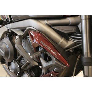 Triumph Street Triple 765