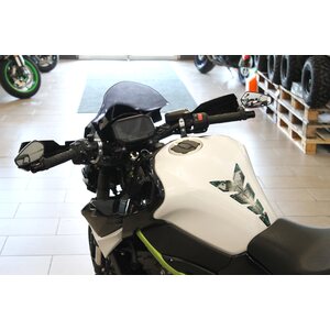 Kawasaki Z900