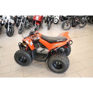Can-Am DS90