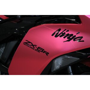 Kawasaki Ninja ZX-6R Barbie