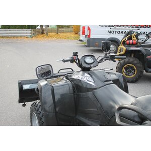 Arctic Cat 550