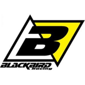 Blackbird